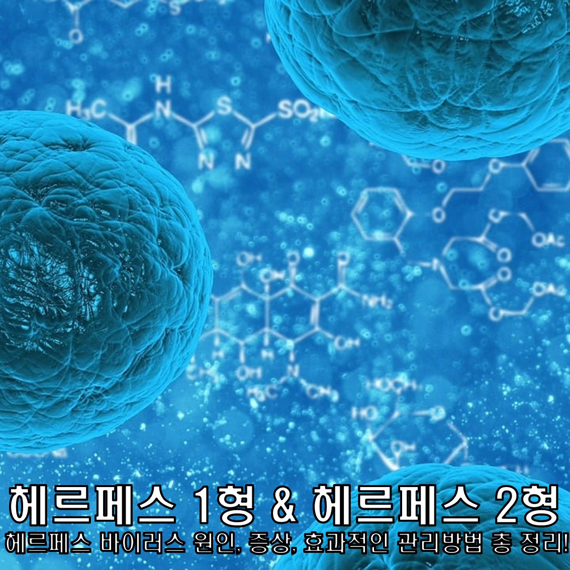 헤르페스 1형 & 헤르페스 2형 바이러스 원인, 증상, 효과적인 관리방법 총정리!